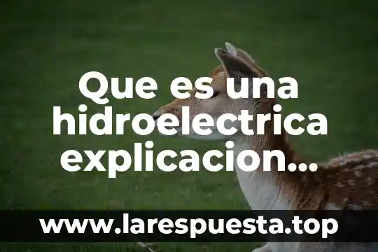 Que es una cuidad suburbana para niños 5 Que es una hidroelectrica explicacion para niños