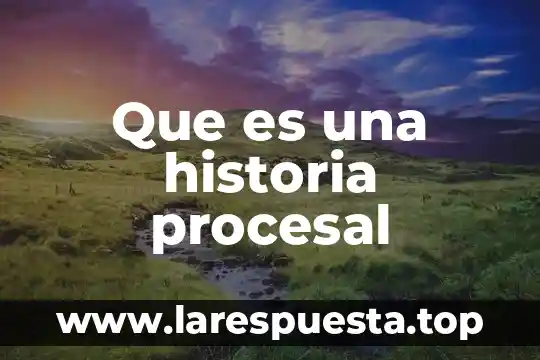 Derecho penal procesal que es 3 Que es una historia procesal
