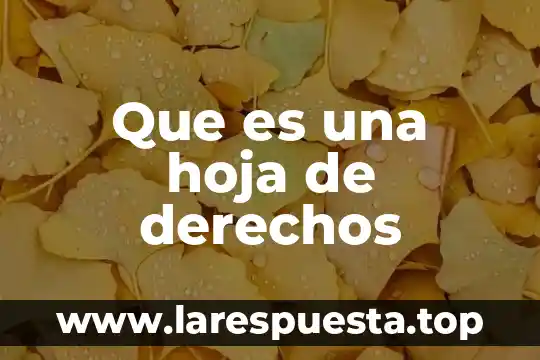 Que es una hoja de derechos