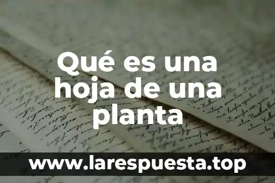 Qué es una hoja de una planta