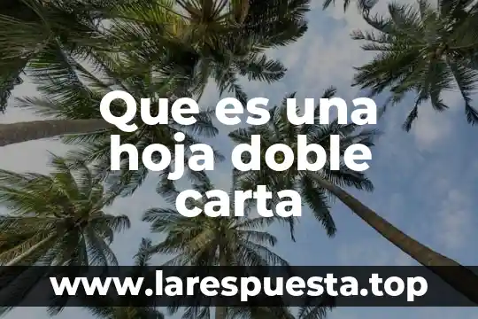 Que es una hoja de informacion 5 Que es una hoja doble carta
