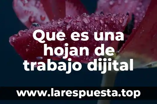 Que es una hojan de trabajo dijital
