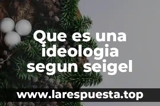 Que es una ideologia segun seigel