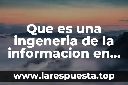 Que es una ingeneria de la informacion en sietma