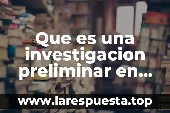 Que es una investigacion preliminar en procesos de direccion