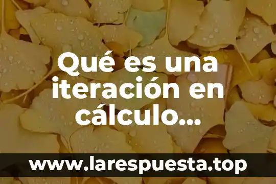 Qué es cálculo diferencial ensayo 4 Qué es una iteración en cálculo diferencial