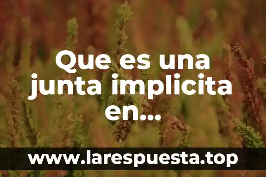 Mecanismos de calidad que es 8 Que es una junta implicita en mecanismos