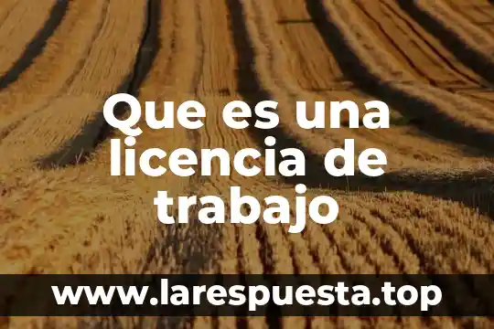 Que es licencia ambiental municipal 6 Que es una licencia de trabajo