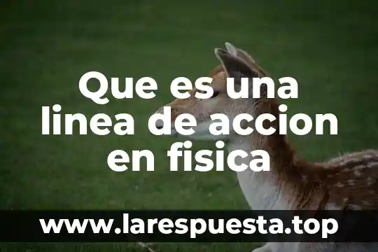 Qué es equipo educación física 6 Que es una linea de accion en fisica