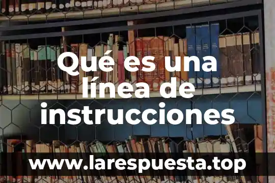 Qué es una línea de instrucciones