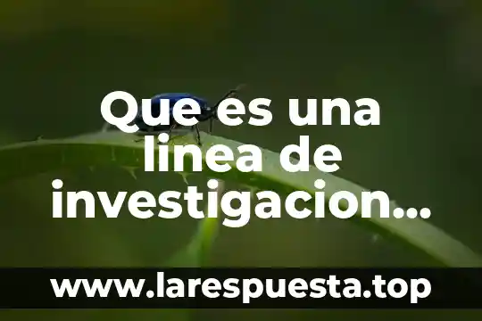 Que es la discusión en un trabajo de investigacion 7 Que es una linea de investigacion en psicologia