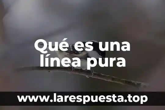 Qué es una línea pura