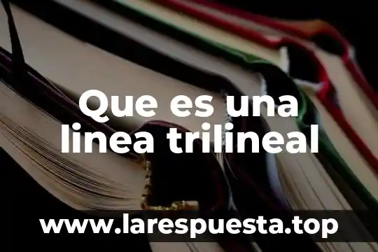 Que es proceso en linea 7 Que es una linea trilineal