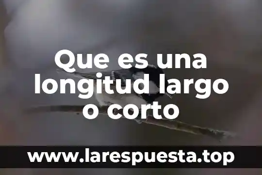 Que es mas corto que una licenciatura 8 Que es una longitud largo o corto