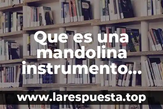 Que es una mandolina instrumento musical