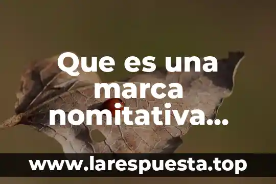 Que es comunidad mixta 4 Que es una marca nomitativa mixta