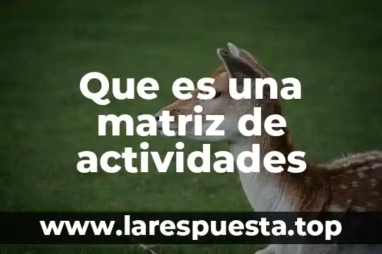 Que es una matriz para areas clave 5 Que es una matriz de actividades