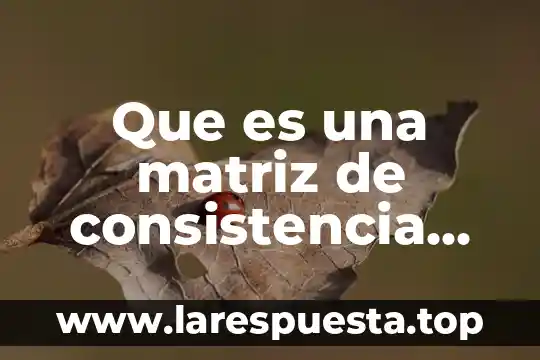Que es una matriz para areas clave 6 Que es una matriz de consistencia logica