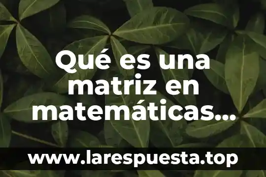Qué es una matriz en matemáticas financieras