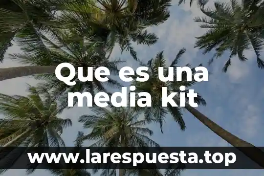 Que es como media negra 6 Que es una media kit