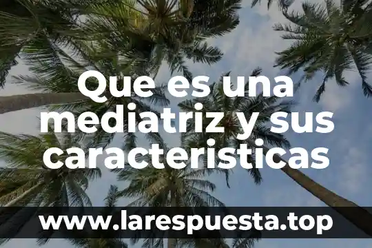 Que es propaganda caracteristicas 8 Que es una mediatriz y sus caracteristicas