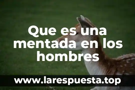 Que es moda hombres y mujeres 3 Que es una mentada en los hombres