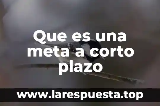 Que es un pagaré a corto plazo 7 Que es una meta a corto plazo