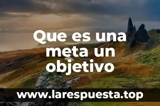 Que es throughput en el libro la meta 3 Que es una meta un objetivo