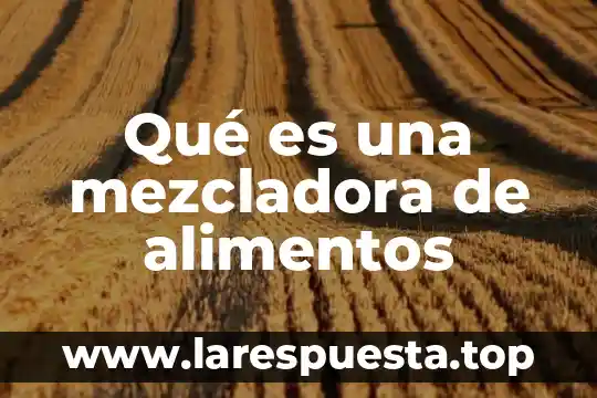 Chatarra de alimentos que es 7 Qué es una mezcladora de alimentos
