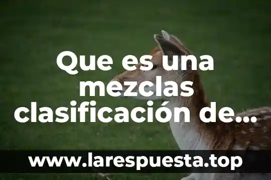 Que es una materia extracurricular 8 Que es una mezclas clasificación de la materia