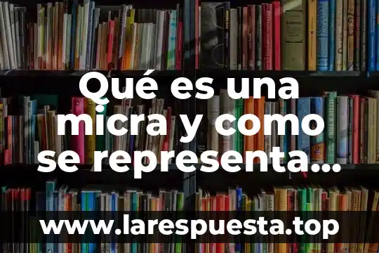 Qué es la fuerza boyante 3 Qué es una micra y como se representa una fuerza