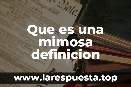 Que es una mimosa definicion