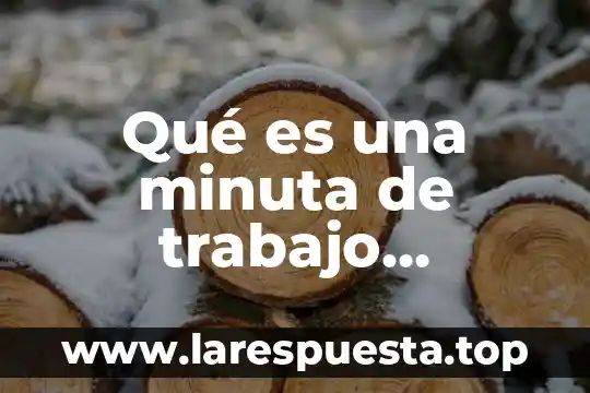 Que es minuta en trabajo social 4 Qué es una minuta de trabajo construcción