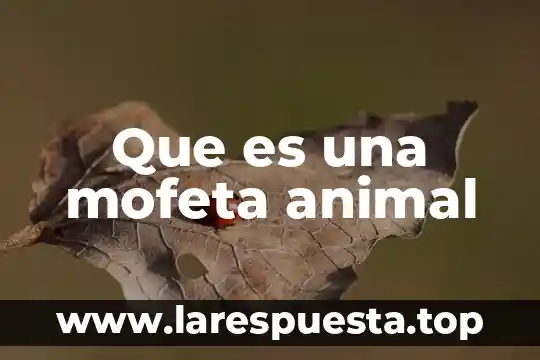 Que es una mofeta animal