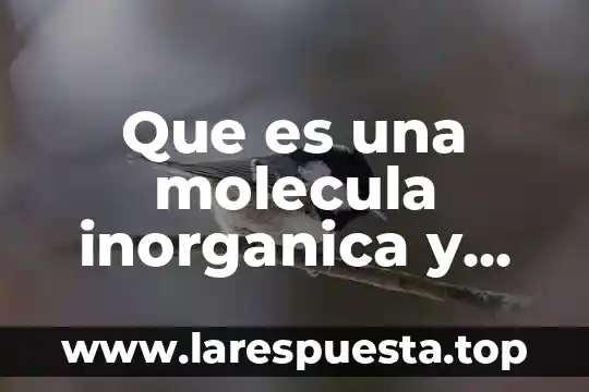Qué es la molécula y por qué está formada 3 Que es una molecula inorganica y sus funciones
