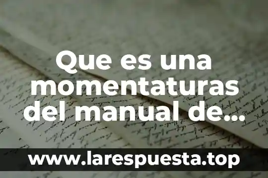 Que es una momentaturas del manual de fabricante definicion