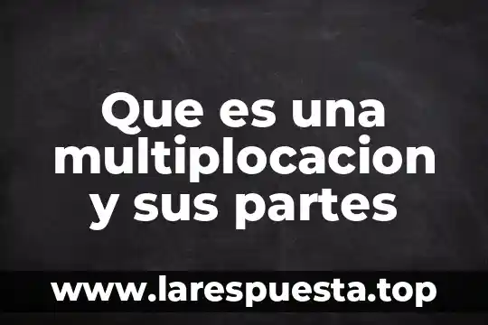 Que es una multiplocacion y sus partes