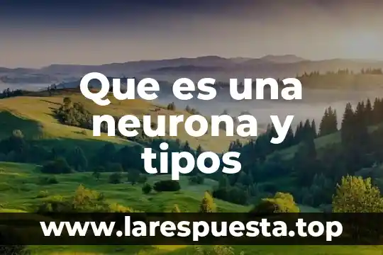 Tipos de marketing digital que es 3 Que es una neurona y tipos