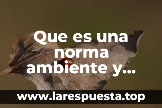 Que es la comuniccaion integrada 5 Que es una norma ambiente y como esta integrada