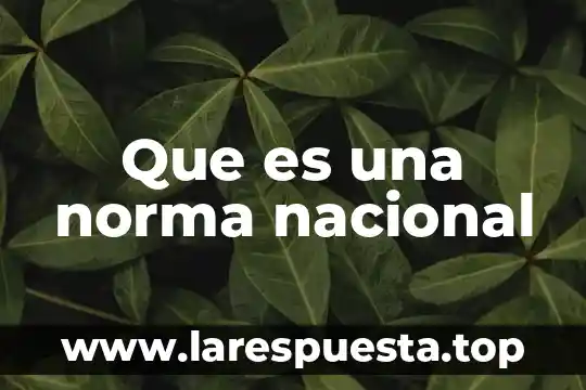Qué es el numerario nacional 6 Que es una norma nacional