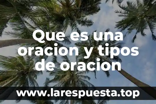 Tipos de Memoria y Que Es 3 Que es una oracion y tipos de oracion