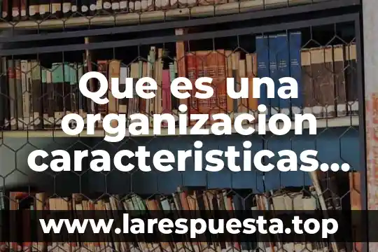Que es organizacion de las empresas mercansistas 7 Que es una organizacion caracteristicas y clasificacion