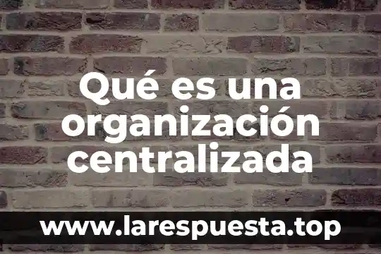 Qué es una organización centralizada