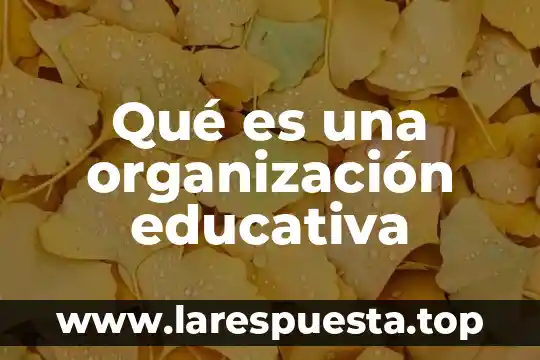 Que es ambito de gestion educativa 7 Qué es una organización educativa