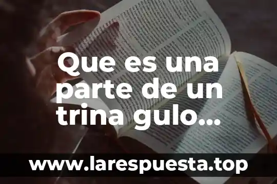 Que es una parte de un trina gulo rectangulo