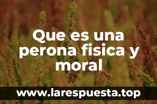 Que es una perona fisica y moral