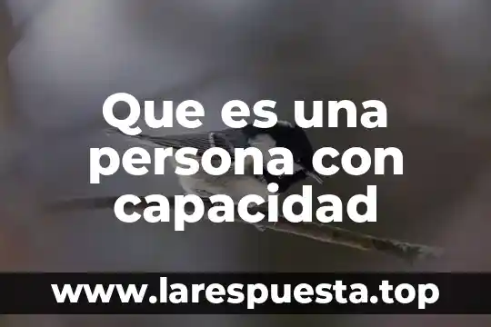 Que es una persona con capacidad