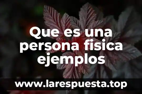 Que es una persona fisica ejemplos