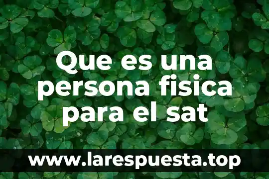 Que es documentos relacionados en sat 4 Que es una persona fisica para el sat