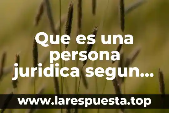 Que es una persona cusco 6 Que es una persona juridica segun ledesma